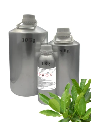 BAY ST THOMAS HE (pimenta racemosa)